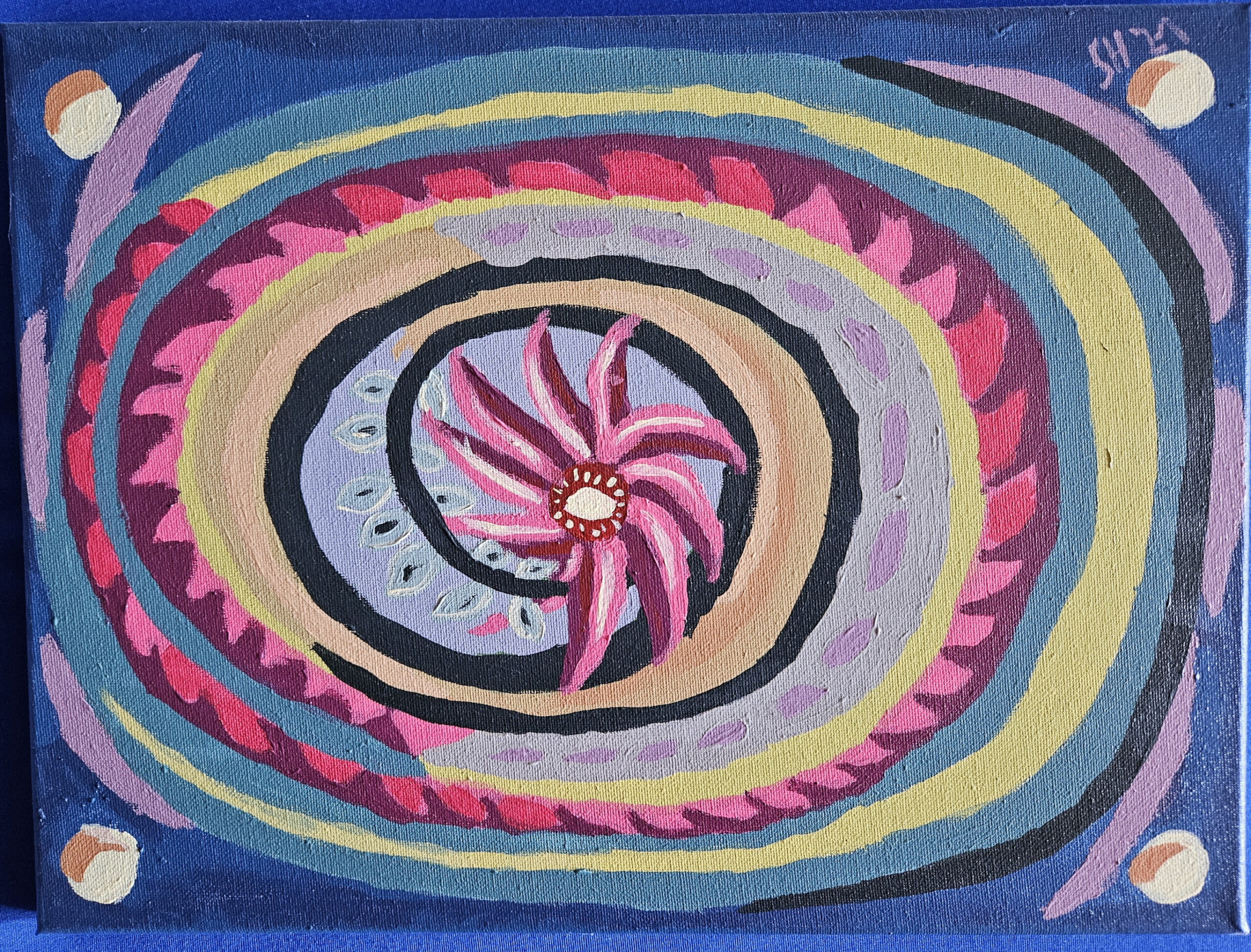 Blütenpracht – Bild 1